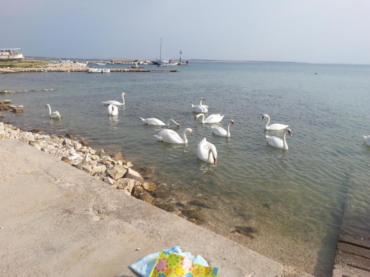 New Kosljun Apartment Short Walk To Beach Extérieur photo